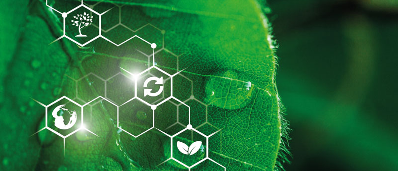 ISO 14001 Belgelendirme 2 iso 14001 belgelendirme