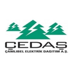 çedaş elektrik