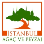 iştanbul ağaç ve peysaj